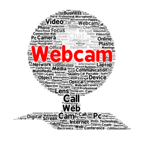 Zoom con online webcam